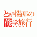 とある陽那の修学旅行（ホモ発覚）