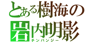 とある樹海の岩内明影（チンパンジー）