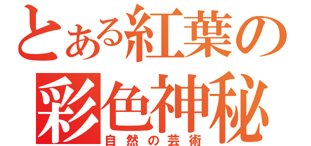 とある紅葉の彩色神秘（自然の芸術）