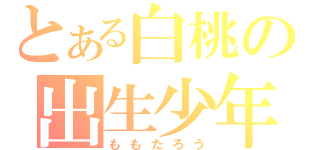 とある白桃の出生少年（ももたろう）