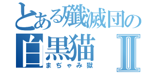 とある殲滅団の白黒猫Ⅱ（まぢゃみ獄）