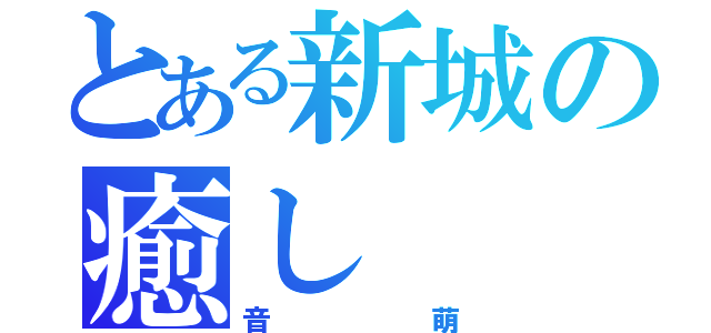 とある新城の癒し（音萌）