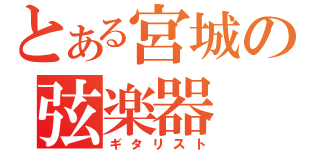 とある宮城の弦楽器（ギタリスト）