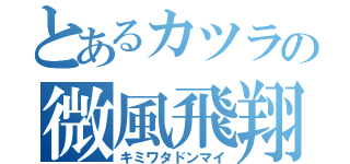 とあるカツラの微風飛翔（キミワタドンマイ）