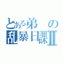 とある弟の乱暴日課Ⅱ（）