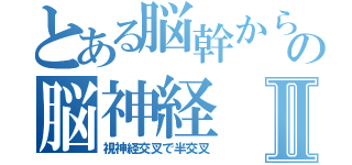 とある脳幹からの脳神経Ⅱ（視神経交叉で半交叉）