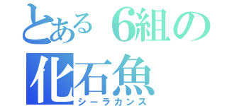 とある６組の化石魚（シーラカンス）