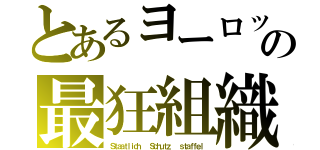 とあるヨーロッパの最狂組織（Ｓｔａａｔｌｉｃｈ   Ｓｃｈｕｔｚ   ｓｔａｆｆｅｌ）