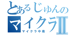 とあるじゅんのマイクラ中毒Ⅱ（マイクラ中毒）