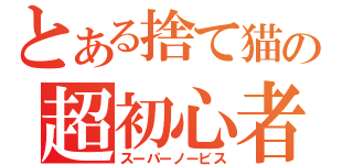 とある捨て猫の超初心者（スーパーノービス）