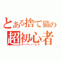 とある捨て猫の超初心者（スーパーノービス）