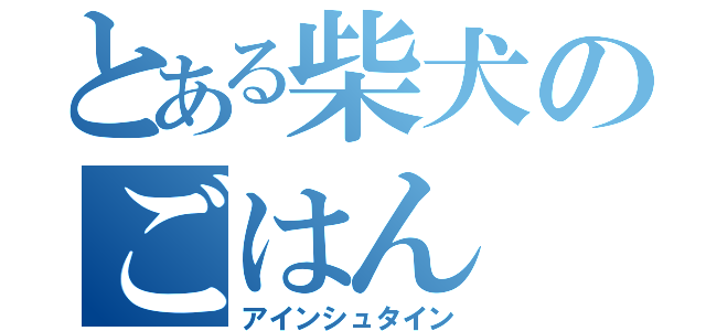 とある柴犬のごはん（アインシュタイン）