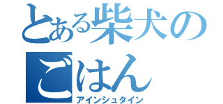 とある柴犬のごはん（アインシュタイン）