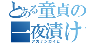 とある童貞の一夜漬け（アカテンカイヒ）