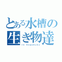 とある水槽の生き物達（ｉｎ ｋａｇａｋｕｂｕ）