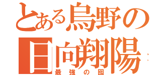 とある烏野の日向翔陽（最強の囮）