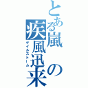 とある嵐の疾風迅来（ゲイルストーム）