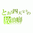 とある四天宝寺の放浪癖（ジブリマニア）