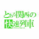 とある関西の快速列車（ヤマトジラピッド）