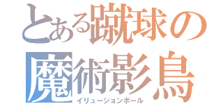 とある蹴球の魔術影鳥（イリュージョンボール）