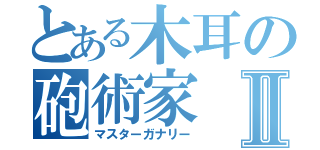 とある木耳の砲術家Ⅱ（マスターガナリー）