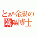 とある金髪の陰陽博士（）