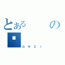 とあるのҷ（ＧＮＺＩ）