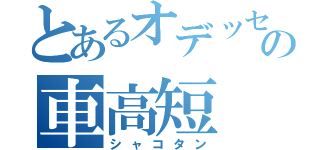 とあるオデッセイの車高短（シャコタン）