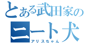 とある武田家のニート犬（アリスちゃん）