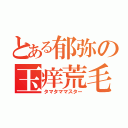 とある郁弥の玉痒荒毛（タマタママスター）