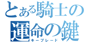 とある騎士の運命の鍵（キーブレード）