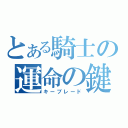 とある騎士の運命の鍵（キーブレード）