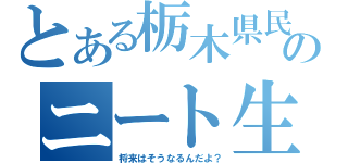 とある栃木県民のニート生活（将来はそうなるんだよ？）