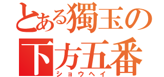 とある獨玉の下方五番（ショウヘイ）