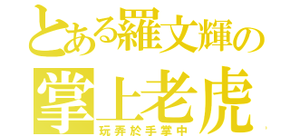 とある羅文輝の掌上老虎（玩弄於手掌中）