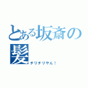 とある坂斎の髪（チリチリやん！）