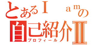 とあるＩ ａｍ Ｙｏｕの自己紹介Ⅱ（プロフィール）