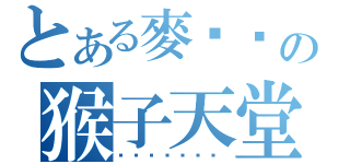 とある麥棨样の猴子天堂（吱吱吱吱吱吱吱）