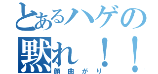 とあるハゲの黙れ！！！（顔曲がり）