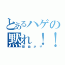 とあるハゲの黙れ！！！（顔曲がり）