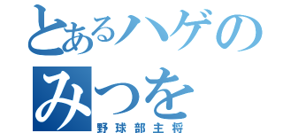 とあるハゲのみつを（野球部主将）