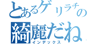 とあるゲリラチームの綺麗だね（インデックス）