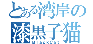 とある湾岸の漆黒子猫（ＢｌａｃｋＣａｔ）