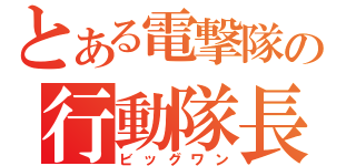 とある電撃隊の行動隊長（ビッグワン）