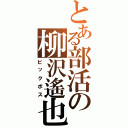 とある部活の柳沢遙也（ビックボス）