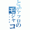 とあるアフロのモジャコ薄井Ⅱ（アフロ犬）