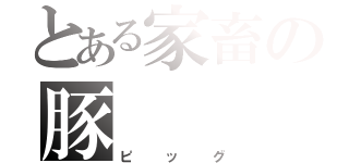 とある家畜の豚（ピッグ）