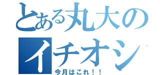 とある丸大のイチオシ（今月はこれ！！）