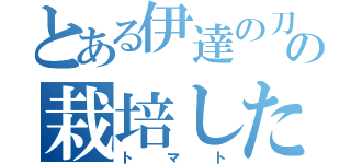 とある伊達の刀の栽培した（ト　マ　ト）