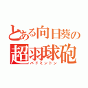 とある向日葵の超羽球砲（バドミントン）